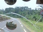 49286CIMG5623.JPG