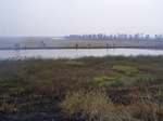 2529 105.jpg