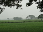 21726DSC00268.JPG