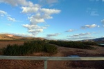 28571P1010588-1.JPG