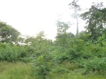 19871P1010721.JPG