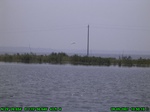 1578R0015238_tag.jpg