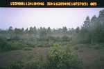 40478Anh2728.JPG