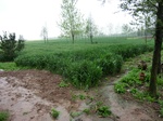 52078CIMG0070.JPG
