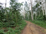 46032CIMG0321.JPG