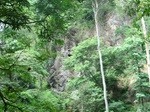 52006CIMG0755.JPG