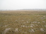 8496IMG_0321.JPG