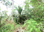 46584CIMG0873.JPG