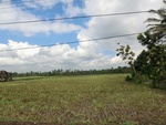 31091CIMG0953.JPG