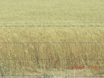 29862CIMG1355.JPG