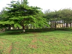 45905CIMG0194.JPG
