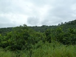 20213P1020067.JPG