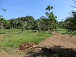 2012-08-31_10-24-40_CIMG0095.JPG