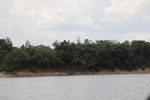 2024-10-10_17-11-56_A22FABED-65CE-46C4-92A0-667953BE282C.jpeg