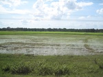 33266IMG_5596.JPG