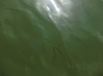 58406CIMG2855.JPG