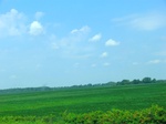 57606CIMG4195.JPG