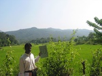 7701gt010a-cropland-rainfed-rice-sur-plantations.jpg