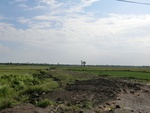 31404CIMG1267.JPG