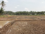 26749DSC00986.JPG