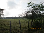 30047IMG_5350.JPG