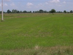 33555RIMG0220.JPG