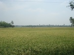 21834DSC08414.JPG
