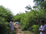 1050346-scrubland-3m-b.gif