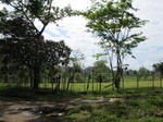 32001IMG_5558.JPG