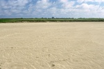 43642pic3.jpg