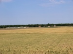 30060CIMG0023.JPG