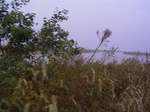 2418 027.jpg