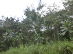 49484CIMG5821.JPG
