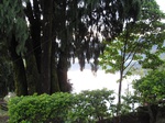 15056IMG_3872.JPG