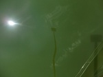 58386CIMG2835.JPG