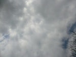 46240CIMG0529.JPG