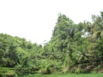 13806IMG_4069.JPG