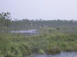 1289R0015094_small.jpg