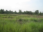 34394IMG_5310.JPG