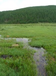 23828P1040911.JPG