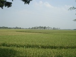 21860DSC08450.JPG