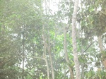 48657CIMG4994.JPG