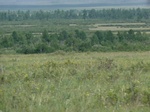 38141P1080066.JPG