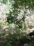 1776024042008(20).JPG
