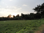 21961DSC00215.JPG