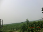32939CIMG2085.JPG