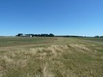26141P1060826.JPG