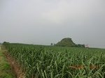 33087CIMG2322.JPG