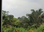 49974CIMG6311.JPG