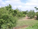 33411RIMG0151.JPG